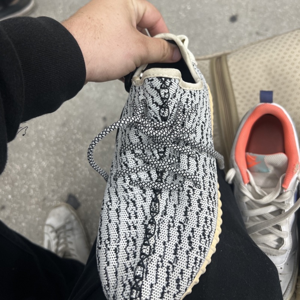 Size 8 350 V1 Turtle Dove